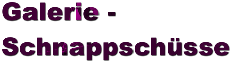Galerie -  Schnappsch�sse